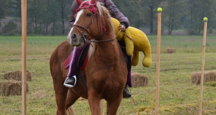 dsc-3393.jpg